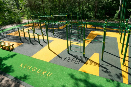 Image d'illustration pour : Parc de calisthenics